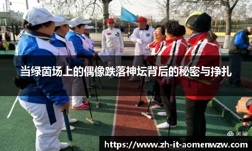 当绿茵场上的偶像跌落神坛背后的秘密与挣扎